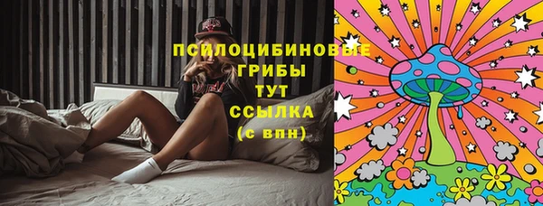 гидра Аркадак