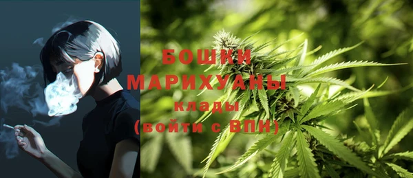 гидра Аркадак