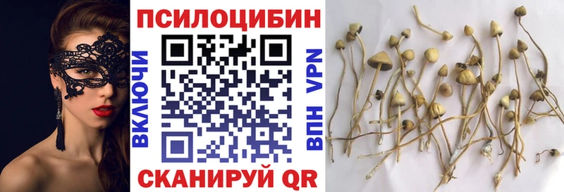 Галлюциногенные грибы мухоморы  цены   Тогучин 